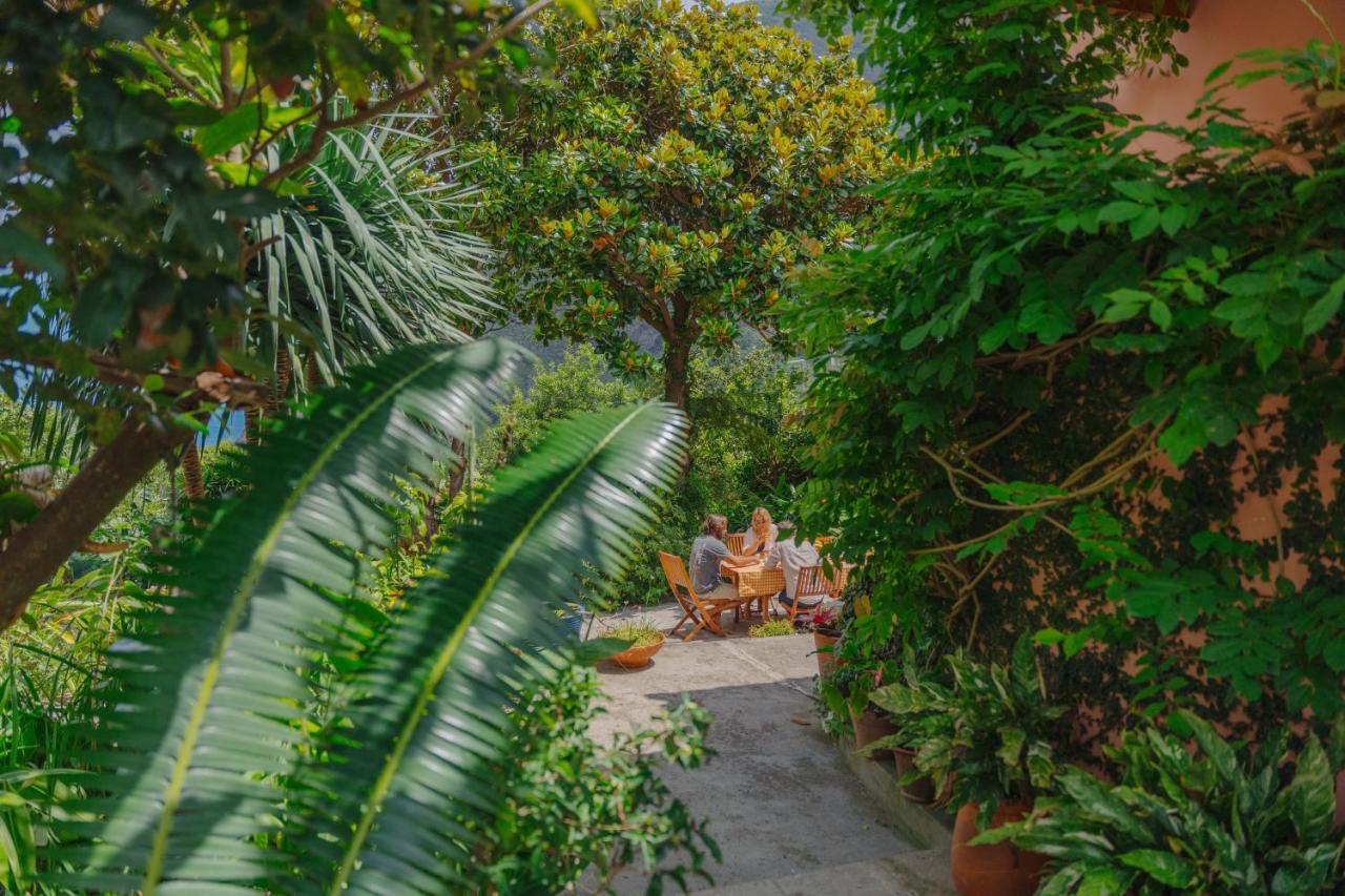 Madeira Surf Lodge Sao Vicente  Luaran gambar